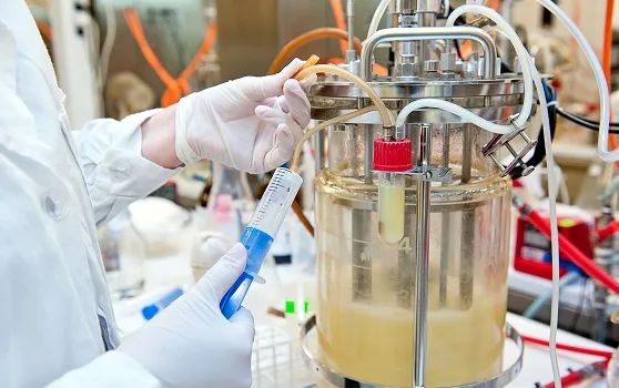 悬浮细胞培养反应器：生物制药的得力助手